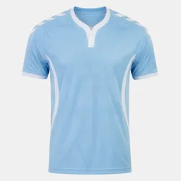 Real Club Celta de Vigo