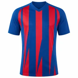 Maillot du Paide Linnameeskond