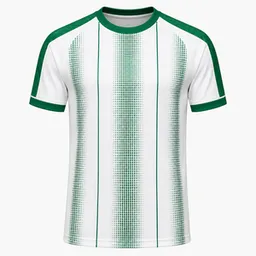 Maillot du Gomel