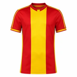 Maillot du Go Ahead Eagles