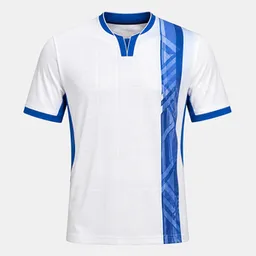 AJ Auxerre