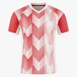 Maillot du Sūduva